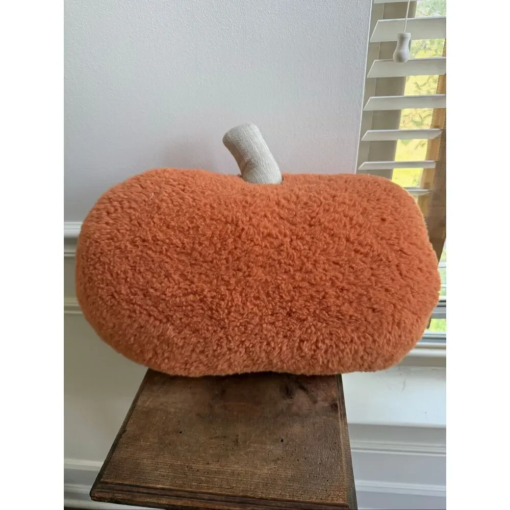 NWOT The Farmhouse Rachel Ashwell Fall Autumn Pumpkin Throw Pillow Decorative